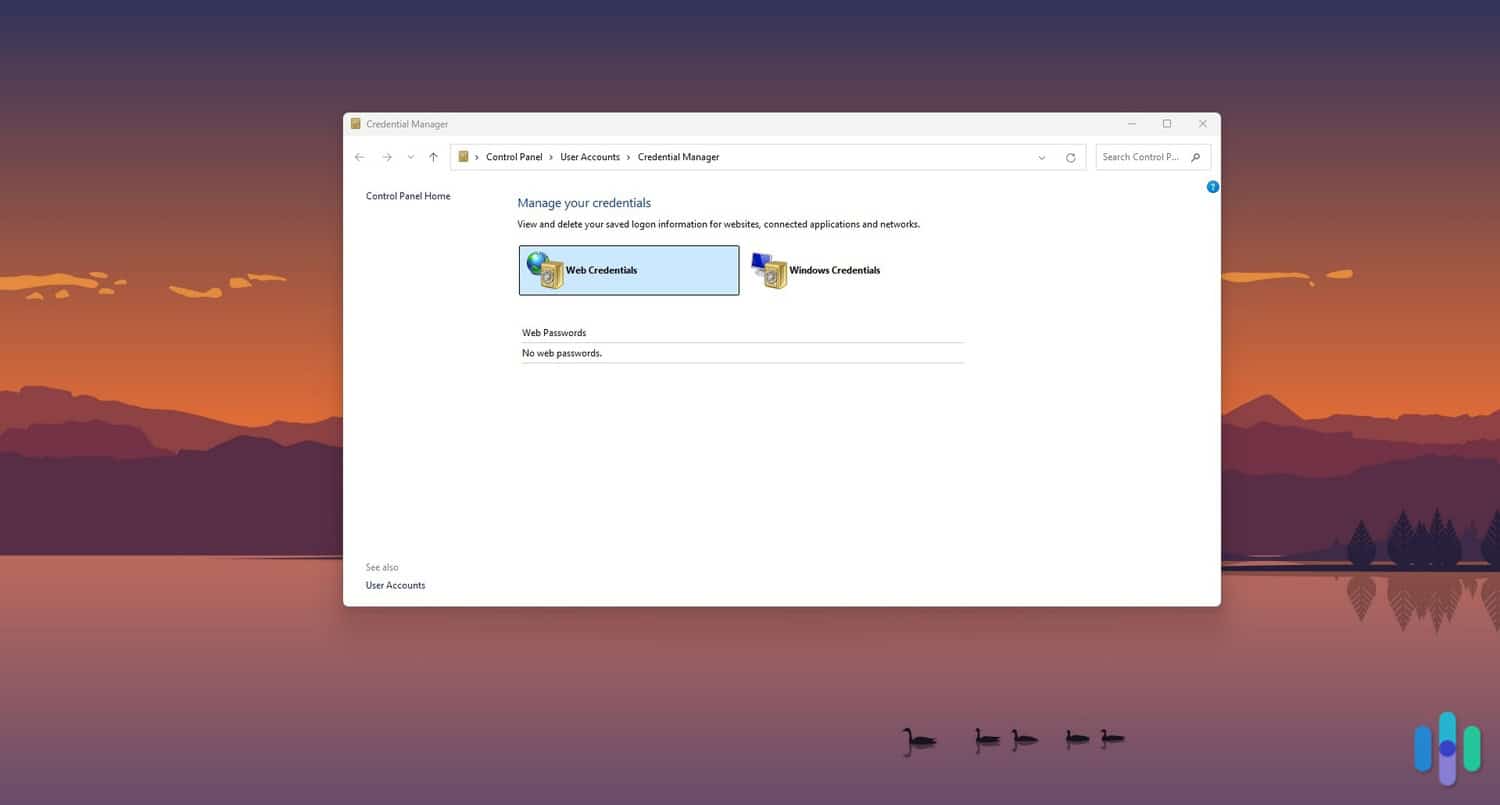 The Credential Manager application on Windows 11